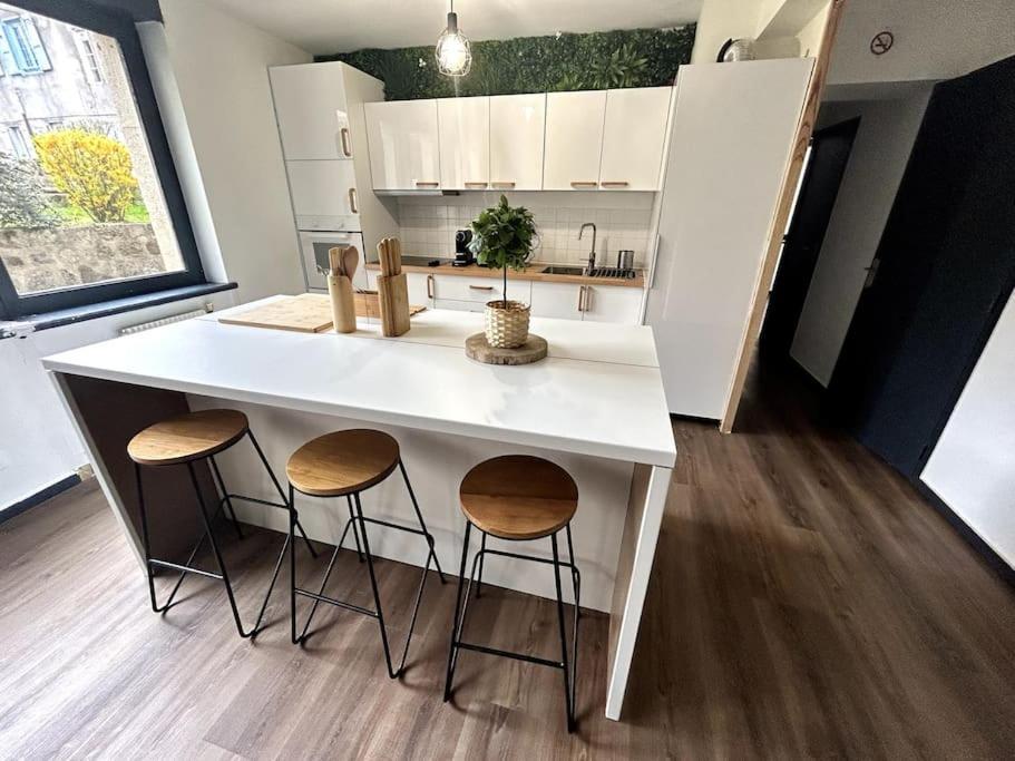 Le Puy En Velay - Appartement Grand Confort Exterior foto