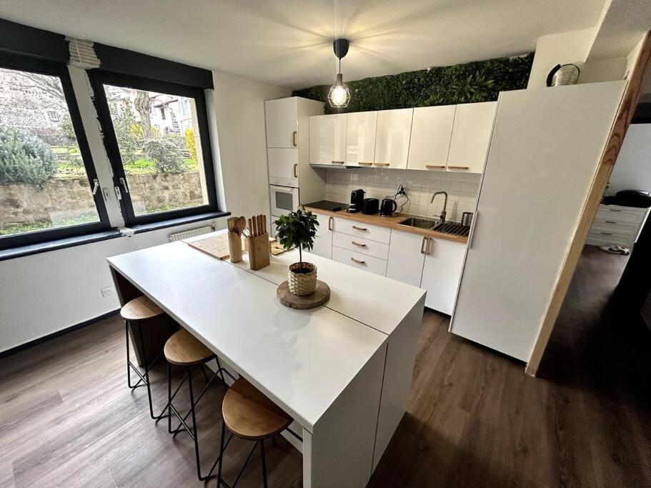 Le Puy En Velay - Appartement Grand Confort Exterior foto